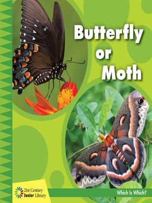 cover image of Butterfly or Moth